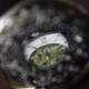 Illustration for article titled Shooting Challenge Freelensing Gallery 1